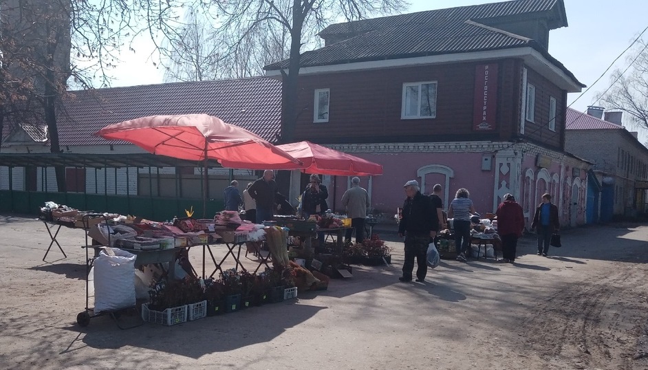 фото из открытых источников